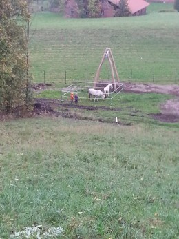 Ponys auf dem Nammer Spielplatz